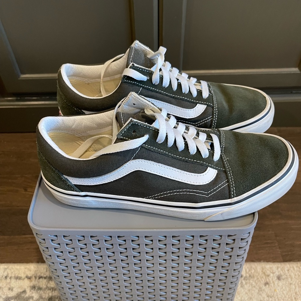 Vans-old skool shoe